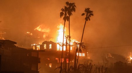 Пожары в Калифорнии затронули территорию площадью больше Парижа