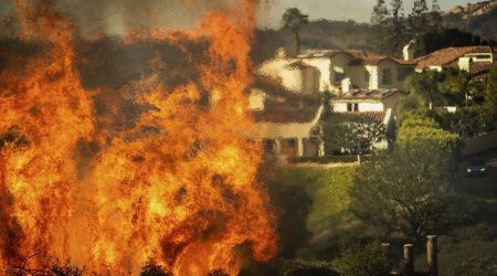 Kaliforniya meşə yanğınlarının vurduğu ziyan 275 milyard dollara çatıb