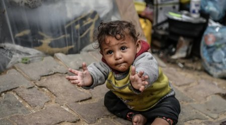 Ceasefire deal on Gaza implies release of 33 hostages during 1st stage — newspaper
