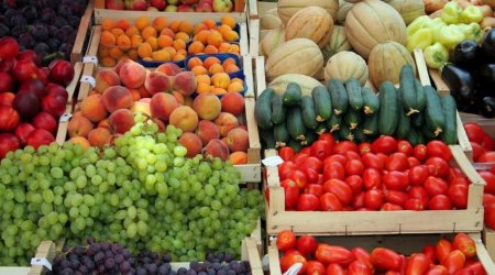 Поставки продукции АПК из России в Азербайджан выросли до $720 млн