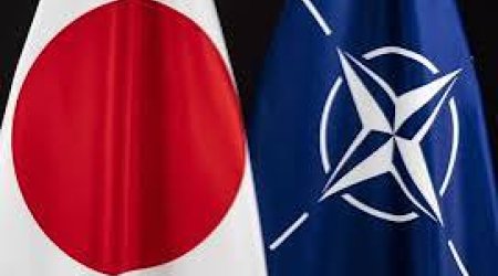 Yaponiya NATO-da daimi nümayəndəliyini açıb