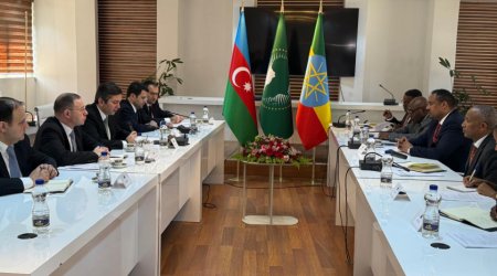 Azərbaycanla Efiopiya arasında siyasi məsləhətləşmələr keçirilib