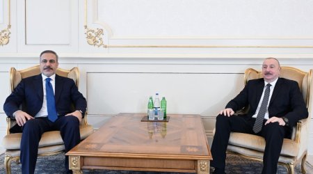 Prezident Hakan Fidanı qəbul edib