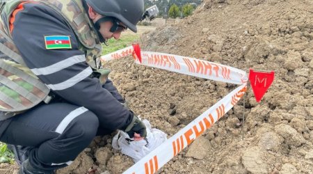 В Мехдиабаде обнаружены боеприпасы