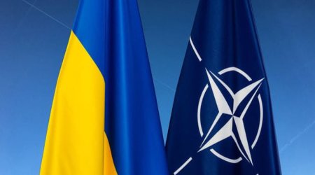 СМИ: Украина присоединилась к Объединенной конфедерации офицеров резерва стран НАТО