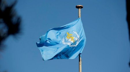ВОЗ заморозила набор персонала из-за нехватки средств после выхода США
