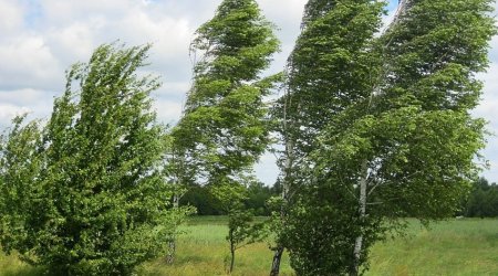 Azerbaijan weather forecast for February 4