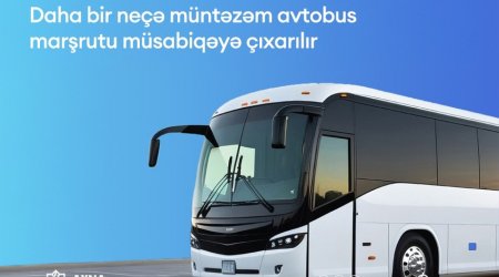 AYNA объявило конкурс по отбору перевозчиков на ряде автобусных маршрутов