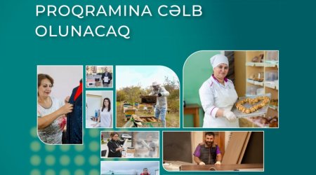 Более девяти тысяч граждан привлекут к программе самозанятости
