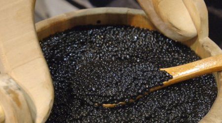 Ölkədə qara kürü ixracı artıb