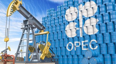 ОПЕК+ может отложить наращивание нефтедобычи с апреля