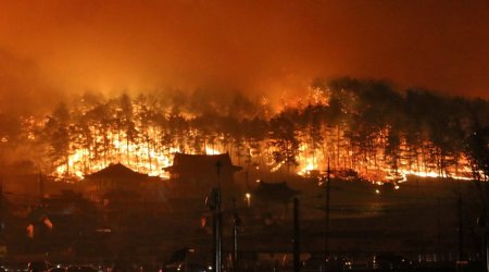 В Южной Корее вспыхнул крупный лесной пожар
