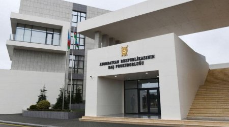 Незаконная вырубка деревьев в Загатале: арестован чиновник