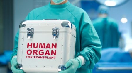 Ümid edirik meyitdən donor köçürülməsi davamlı olacaq - Rəşad Mahmudov