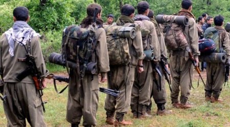 PKK объявил о прекращении огня и поддержке призыва Оджалана к разоружению
