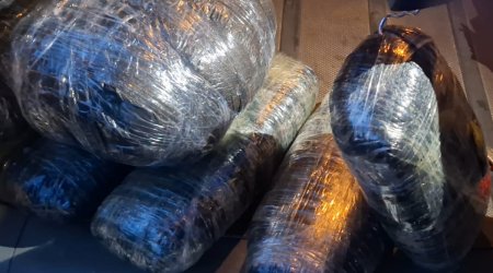 В Лянкяране из незаконного оборота изъяли 10 кг наркотиков