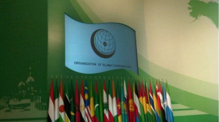 Главы МИД стран ОИС требуют вывода израильских войск из Сирии