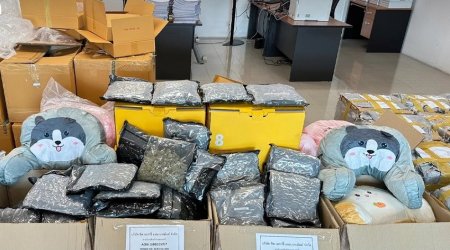 В Таиланде изъяли более 3 тонн каннабиса в рамках борьбы с контрабандой