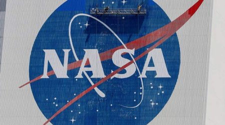 Сотрудники штаб-квартиры NASA пожаловались на тараканов после указа Трампа