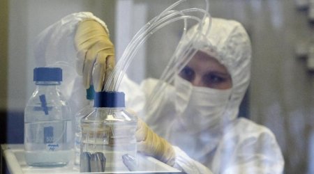 Ученые добились прорыва влечении смертельно опасной лихорадки Эбола
