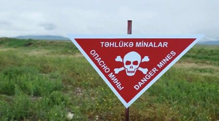 На освобожденных территориях за прошлую неделю обезврежено 204 мины