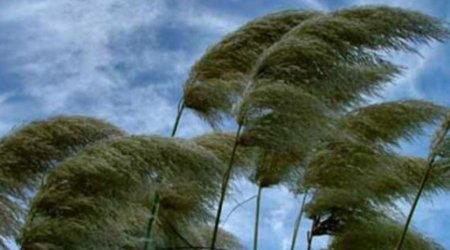 Küləkli hava şəraiti ilə bağlı sarı və narıncı xəbərdarlıq verilib