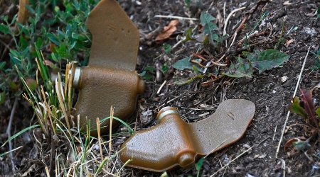 Polşa sərhədlərini minalaya bilər