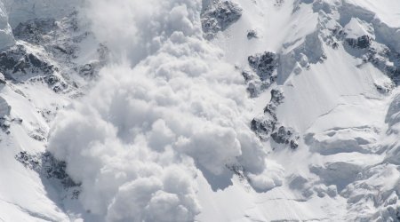 Совместное заявление Минобороны и МЧС