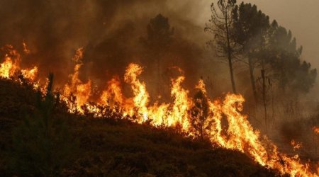В Японии в двух префектурах объявили эвакуацию жителей из-за лесных пожаров