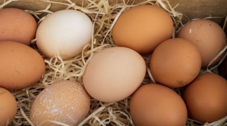 США удвоили импорт яиц из Бразилии из-за вспышки птичьего гриппа