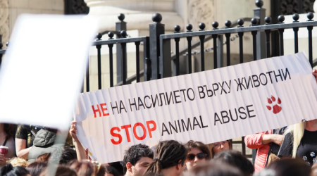 В Болгарии прошли массовые протесты в защиту животных