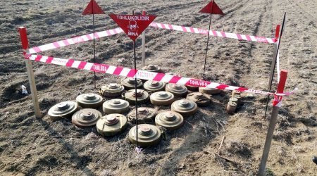 Heyvan otaran şəxs Ağdamda minaya düşüb