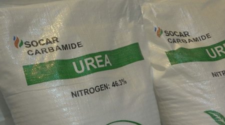 Азербайджан увеличил производство карбамида почти на 18%