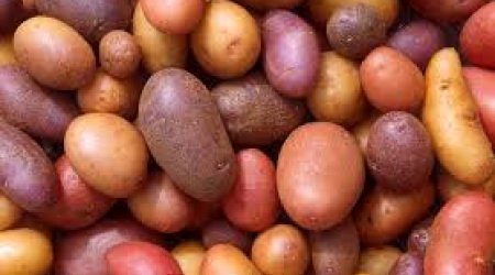 Kyrgyzstan exported 300 kg of potatoes to Azerbaijan