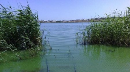 В Хачмазе ищут провалившегося в болото подростка