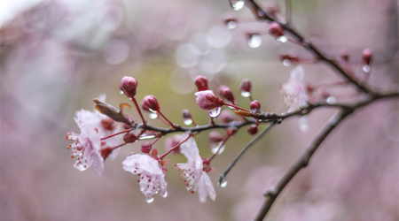 Azerbaijan weather forecast for April 21
