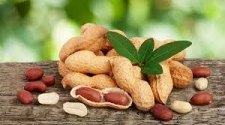 Uzbekistan exported 531.4 tonsof peanuts to Azerbaijan
