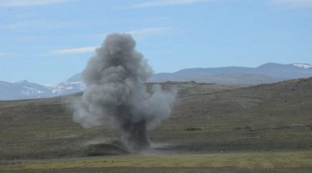На прошлой неделе от мин очищено 893,8 га территории