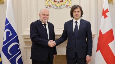 
Премьер Грузии обсудил с генсеком ОБСЕ ситуацию на Южном Кавказе