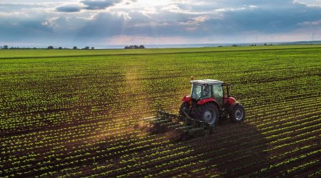 Фонд агрострахования Азербайджана способен охватить 98% пахотных земель