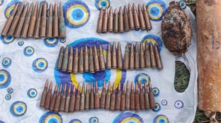В Бабеке и Шахбузе обнаружены боеприпасы