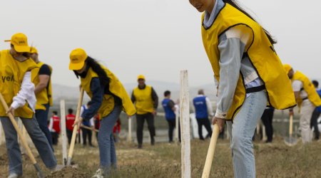 Yelo Bank contributes to a greener future