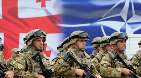 В Грузии стартовали масштабные учения НАТО с участием 17 стран, включая Азербайджан