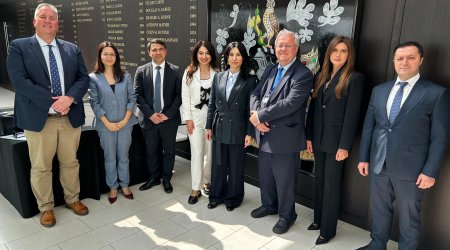 Azerbaijani healthcare delegation begins visit to the UK