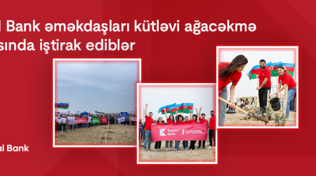 Kapital Bank əməkdaşları kütləvi ağacəkmə aksiyasında iştirak ediblər