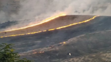 Израиль обратился за помощью в тушении лесных пожаров к Азербайджану