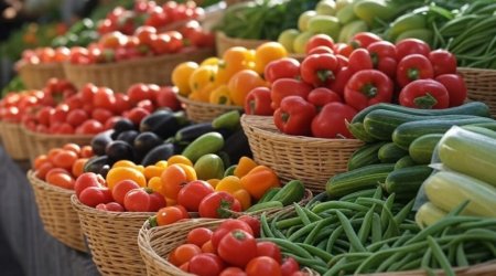 Son 30 ildə dünya təsərrüfatına 3,8 trilyon dollar ziyan dəyib