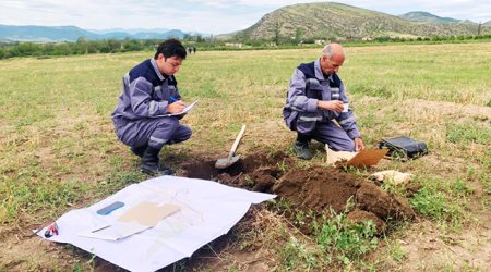 Nazirlik orta fermer təsərrüfatlarında təşviq prosesinə başlayacaq