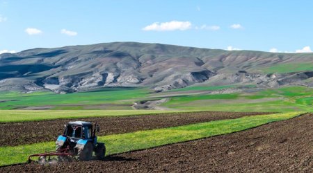 Aqrar Kredit və İnkişaf Agentliyi son 3 ildə ayırdığı vəsaitlərin məbləğini açıqlayıb