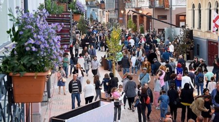 Иностранным гражданам могут ограничить работу в Грузии